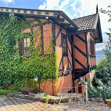 Ferienhaus Villa Frosch ไมนิงเงิน ภายนอก รูปภาพ